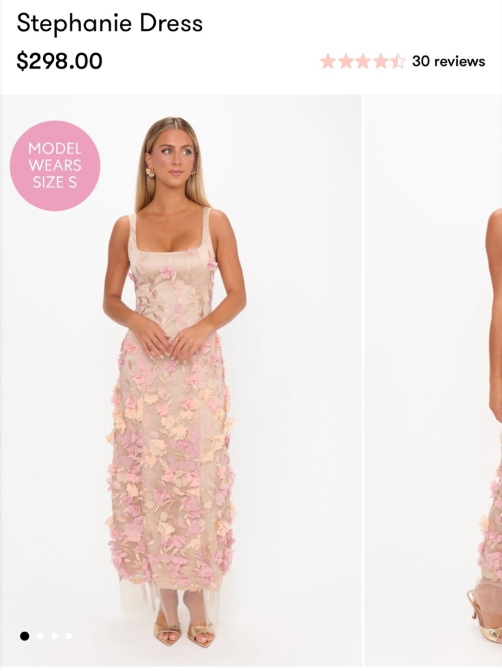 Show Me Your Mumu Stephanie Dress in Champagne 3D Floral